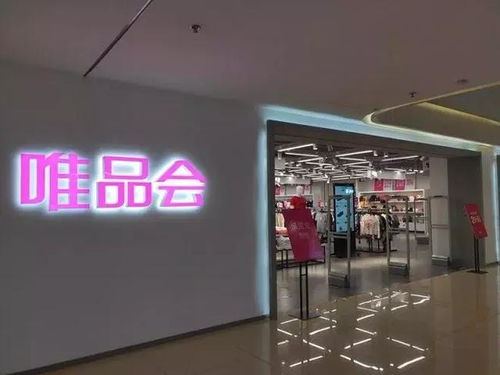 新零售浪潮 社交電商崛起與零售巨頭的數(shù)字化實(shí)踐